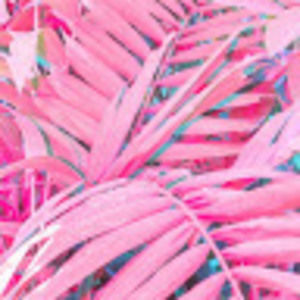 Meet your Posher, Cherish